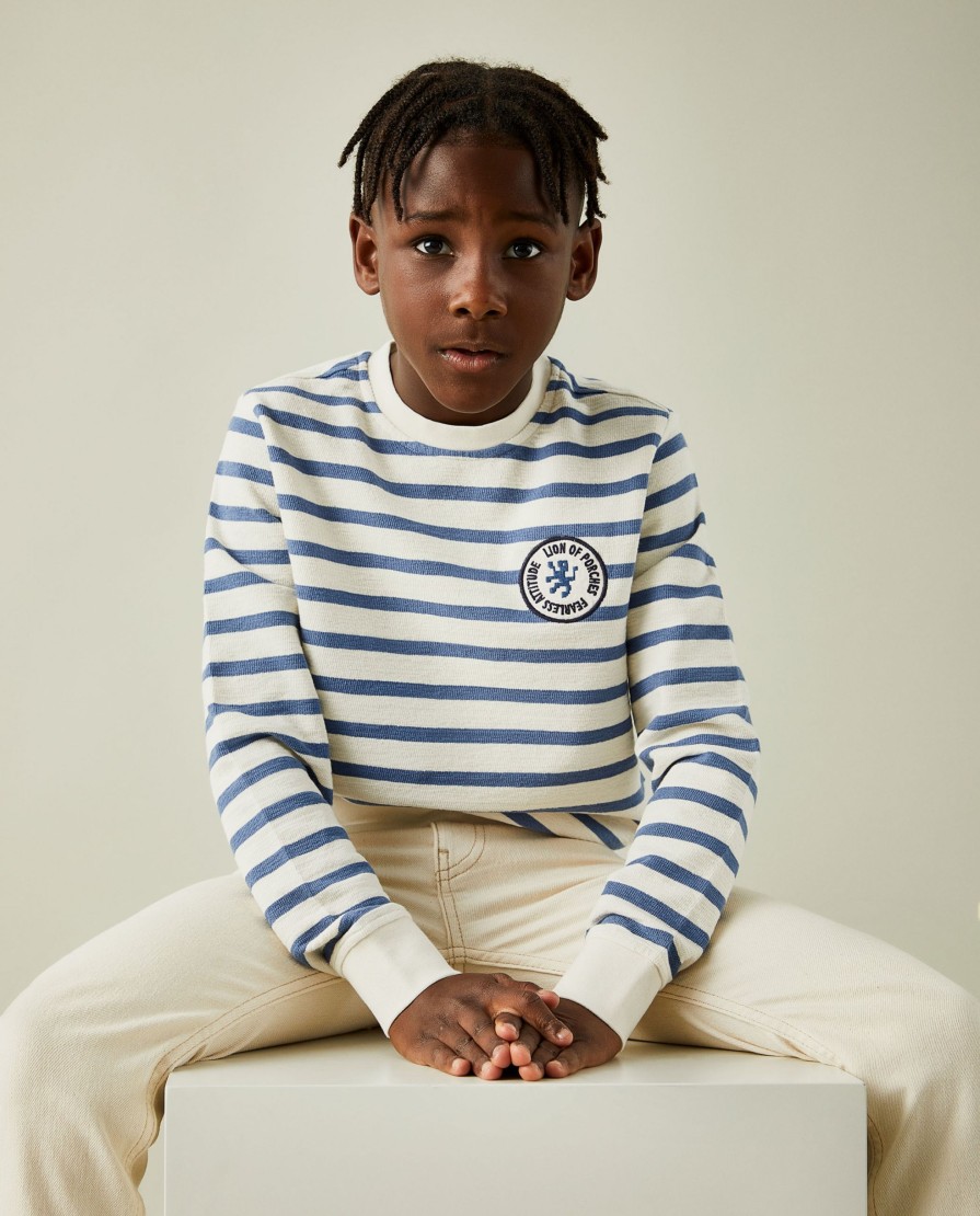 Lion Of Porches Sweats | Sweater Em Algodao Com Padrao De Riscas