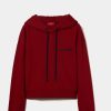 Lion Of Porches Sweats | Sweatshirt Curta Com Capuz