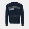 Lion Of Porches Sweats | Sweat