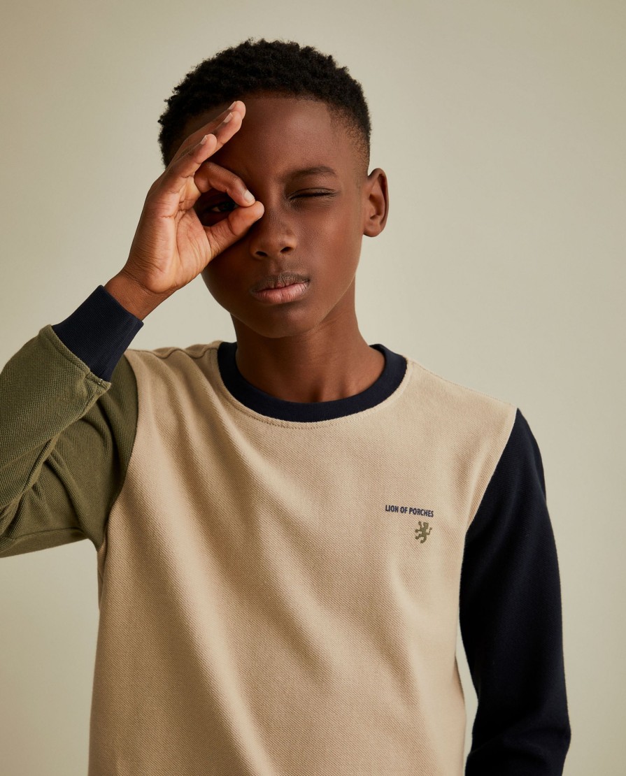 Lion Of Porches Camisolas | Sweater De Algodao Color Block