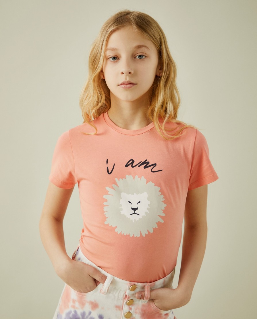 Lion Of Porches T-Shirts | T-Shirt Com Estampado De Leao